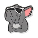 Hupsis Labs Tarra, 23-koira-cool